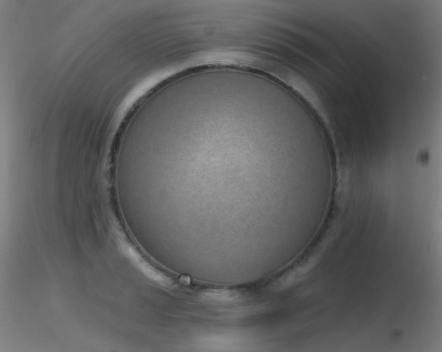 X0000116811037200912181340