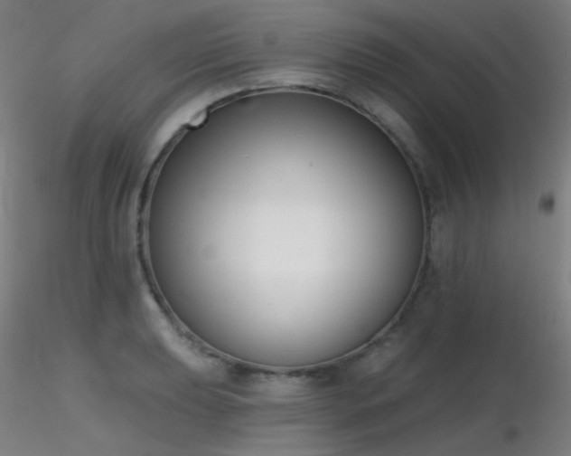 X0000116811039200912181340