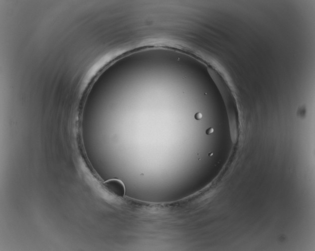 X0000116811040200912181340