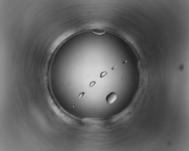 X0000116811042200912181340