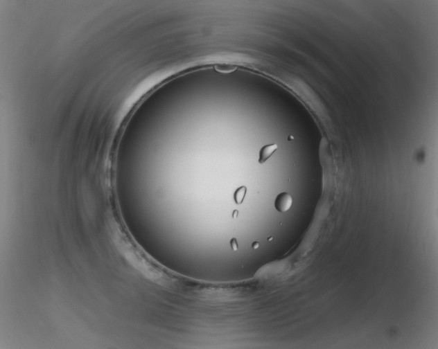 X0000116811044200912181340