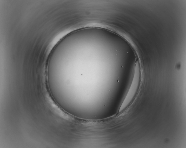X0000116811048200912181340
