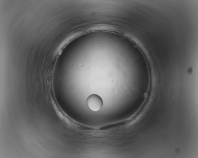 X0000116811049200912181340