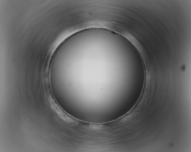 X0000116811052200912181340