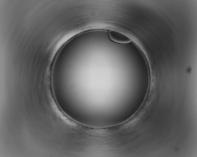 X0000116811053200912181340