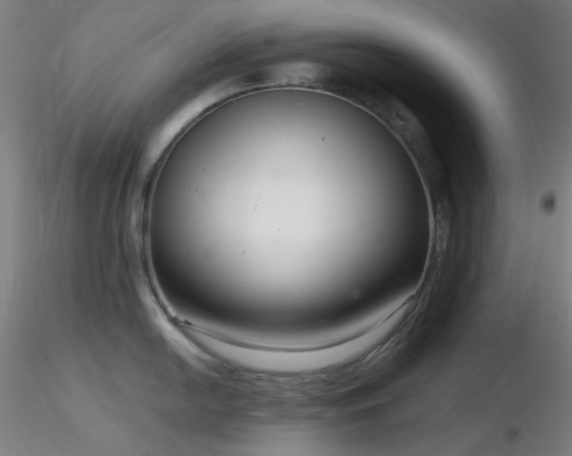 X0000116811054200912181340