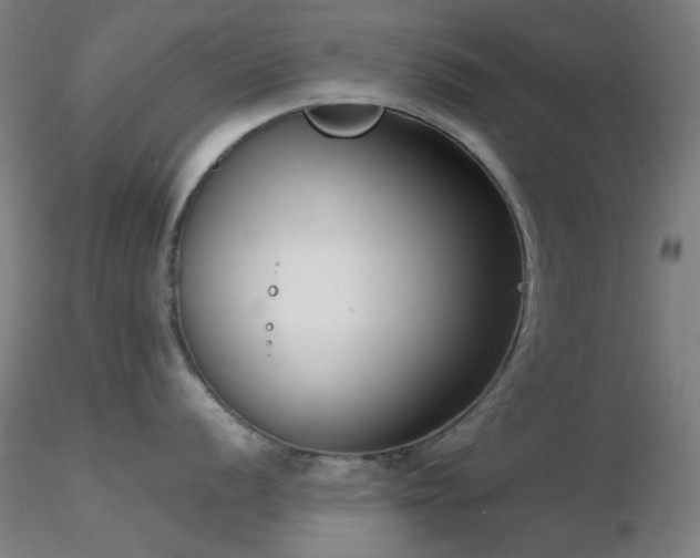 X0000116811056200912181340