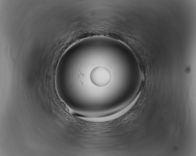 X0000116811057200912181339