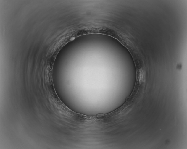 X0000116811059200912181339