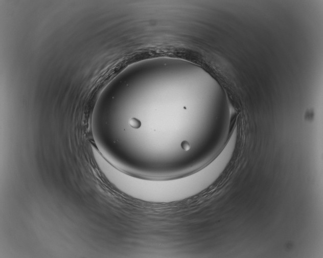 X0000116811060200912181339