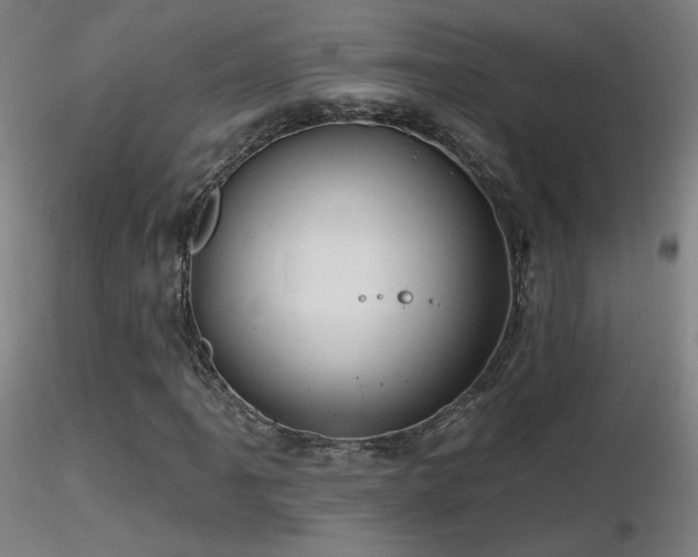 X0000116811061200912181339