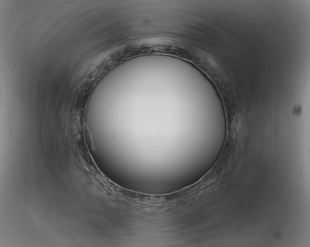 X0000116811062200912181339