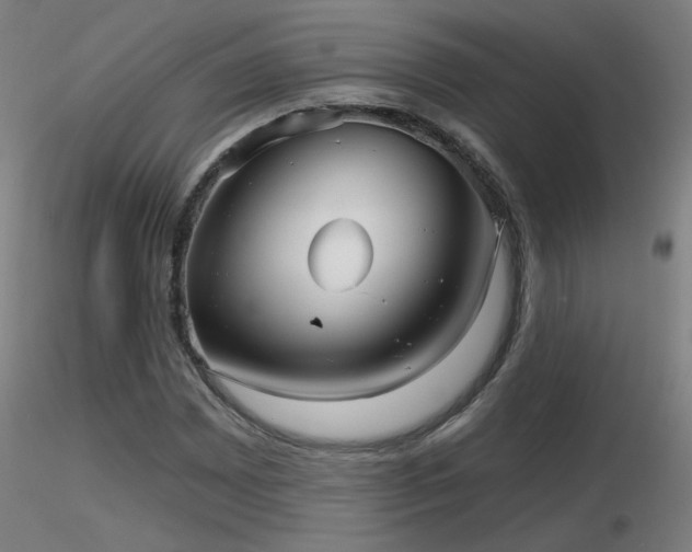 X0000116811065200912181339