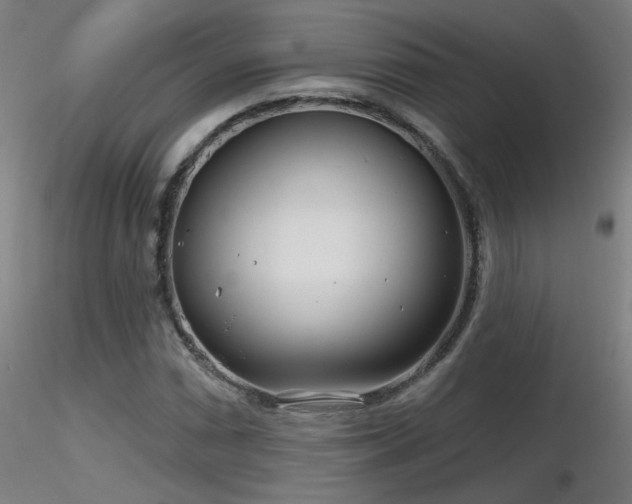 X0000116811066200912181339
