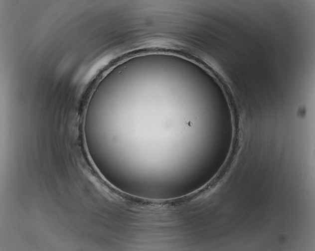 X0000116811067200912181339