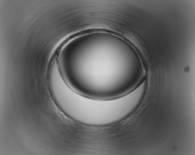 X0000116811068200912181339