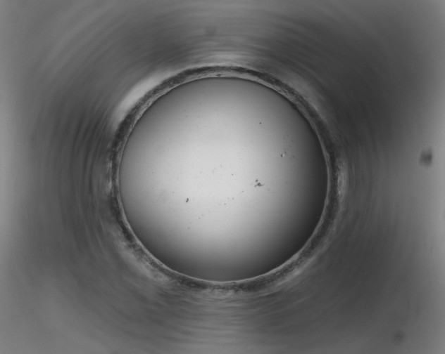 X0000116811069200912181339