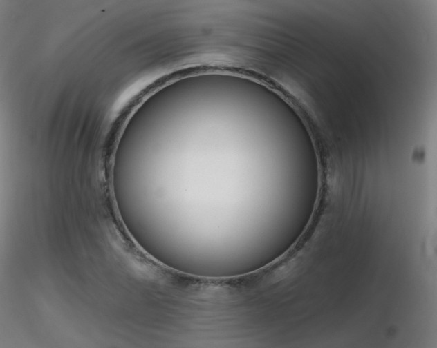 X0000116811070200912181339