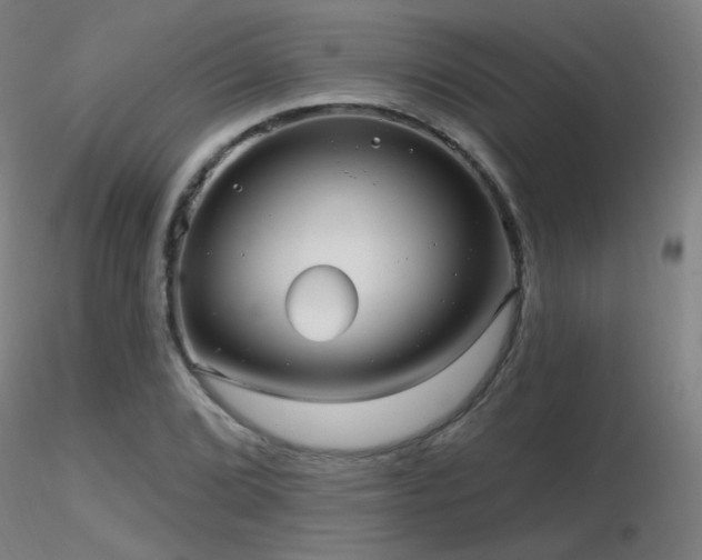 X0000116811072200912181339
