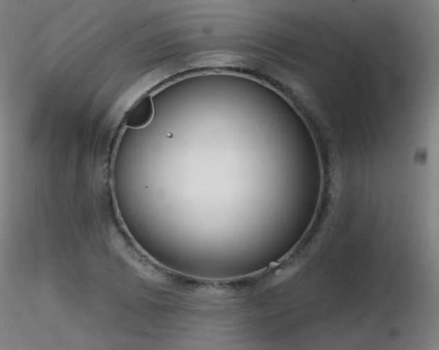 X0000116811073200912181339