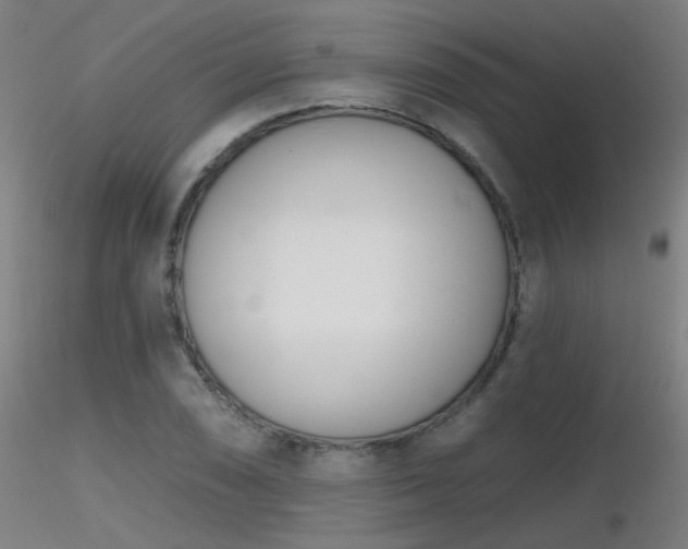 X0000116811074200912181339