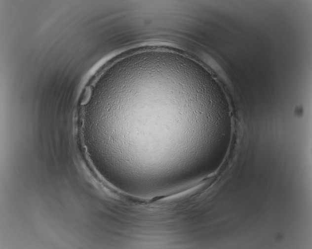 X0000116811076200912181339