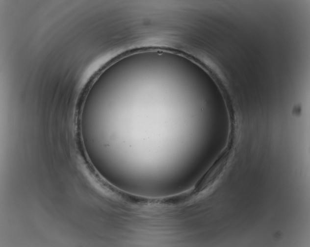 X0000116811077200912181339