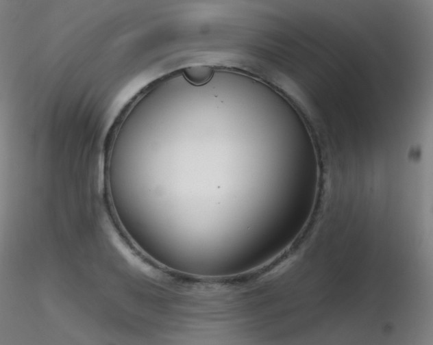 X0000116811079200912181339