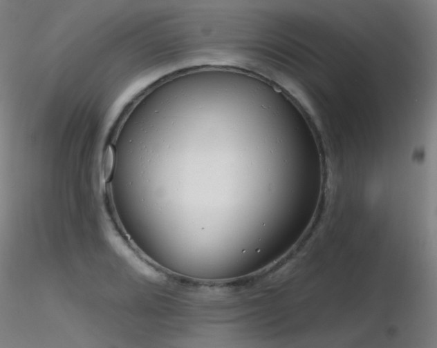X0000116811080200912181339
