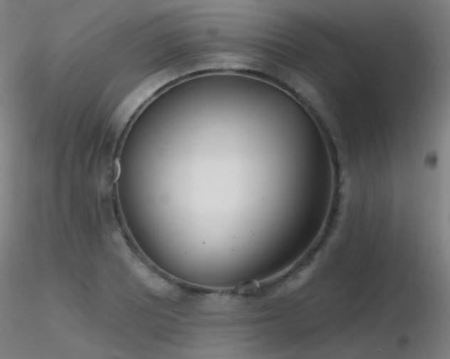 X0000116811081200912181339