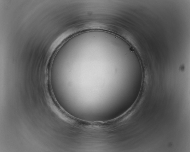 X0000116811082200912181339