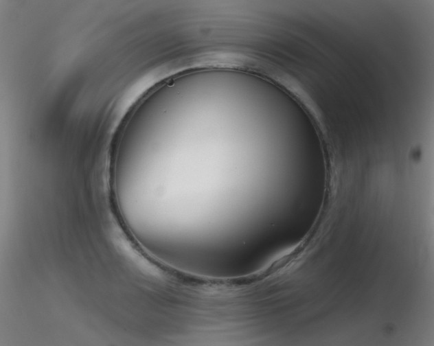X0000116811083200912181339
