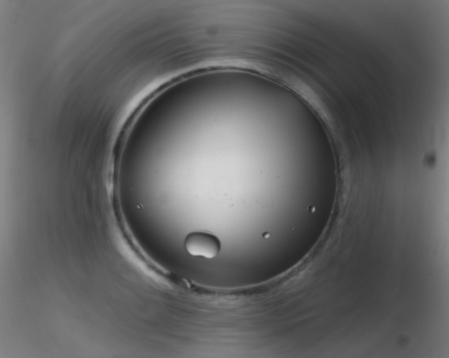 X0000116811084200912181339