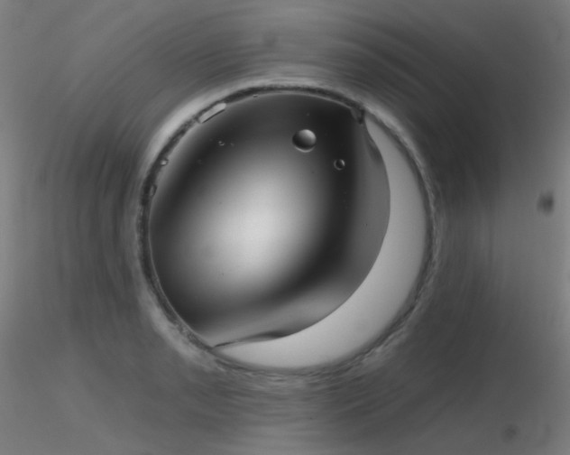 X0000116811085200912181339
