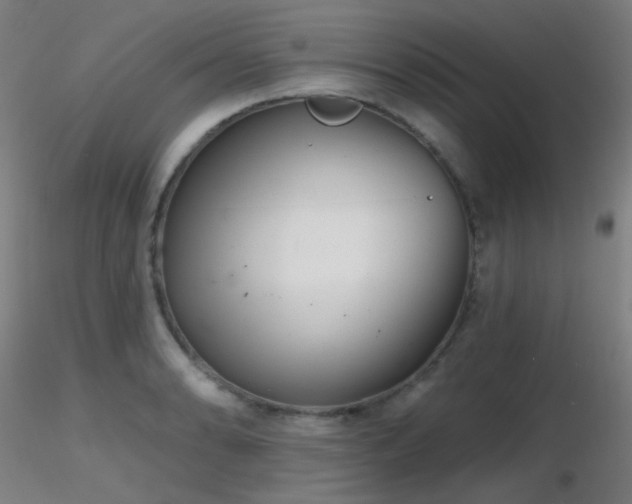 X0000116811086200912181339