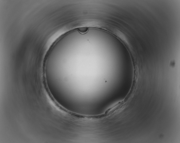 X0000116811087200912181339