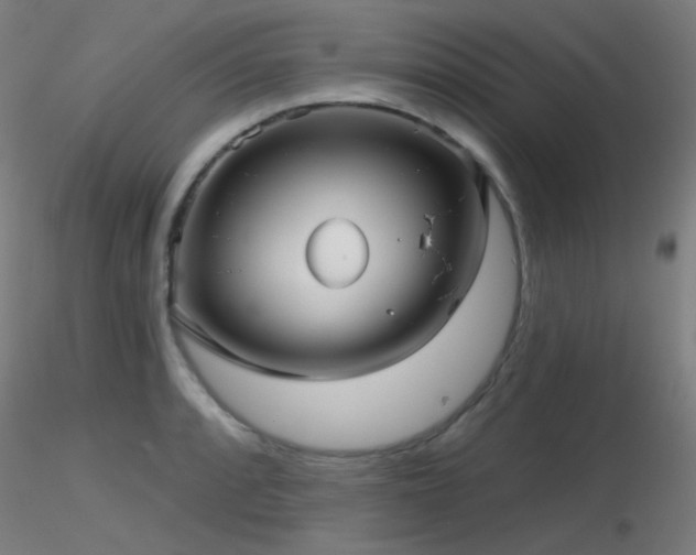X0000116811088200912181339