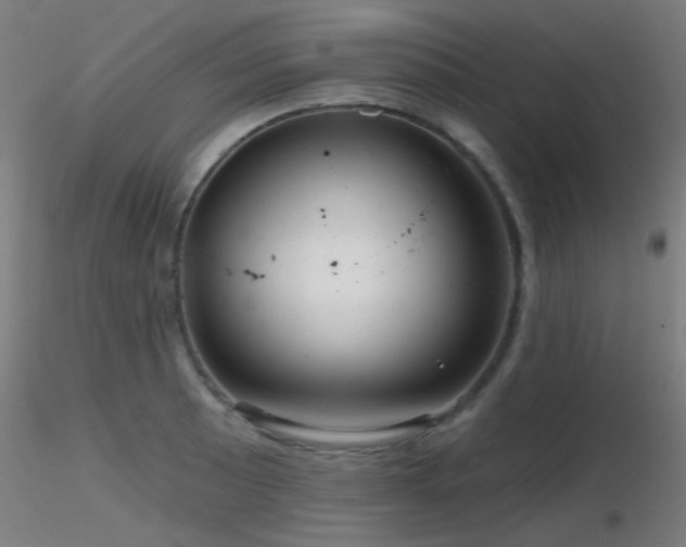 X0000116811089200912181339