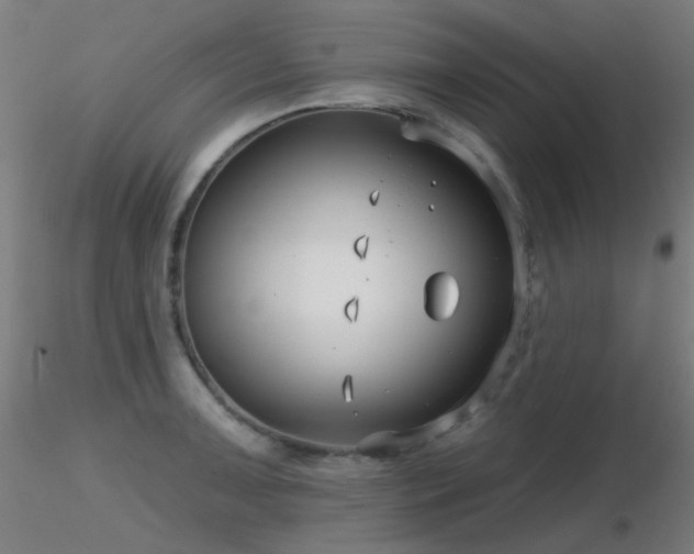 X0000116811091200912181339