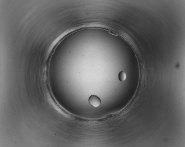 X0000116811092200912181339