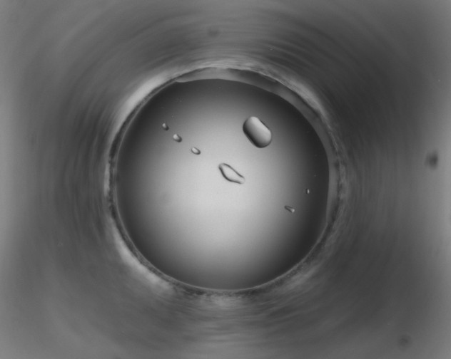 X0000116811095200912181339