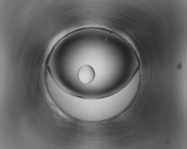 X0000116811096200912181339
