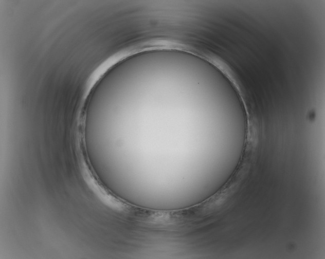 X0000116811098200912181339