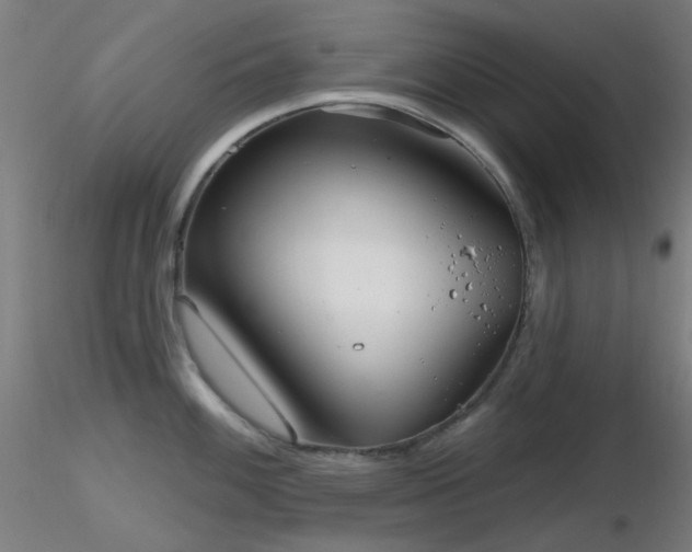 X0000116811100200912181339