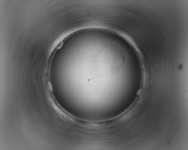 X0000116811101200912181339