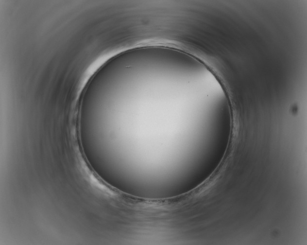 X0000116811102200912181339