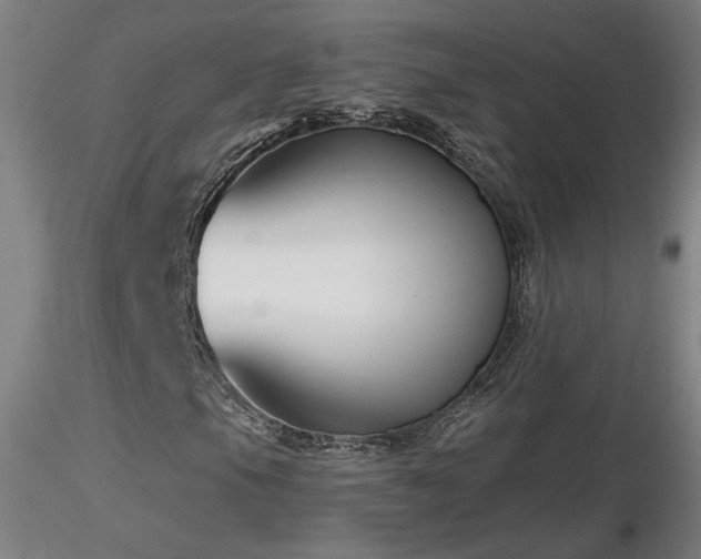 X0000116811105200912181338