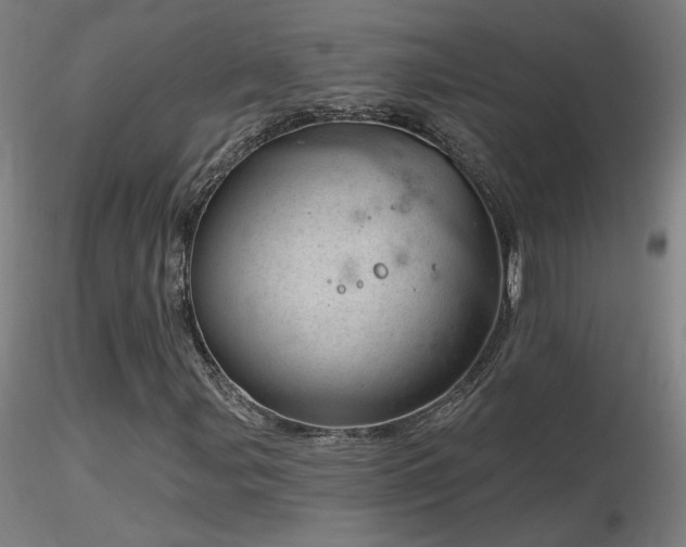 X0000116811107200912181338