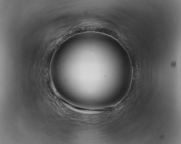 X0000116811109200912181338