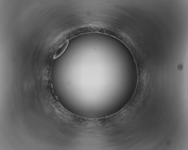 X0000116811110200912181338